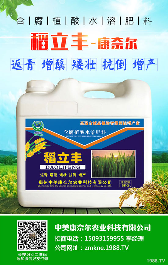 小麥四月份遇到“倒春寒”有多大影響？該如何補(bǔ)救？小麥四月份農(nóng)事指南