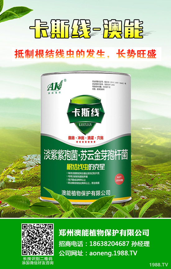 南瓜種植時(shí)間是什么時(shí)候？南瓜的種植技巧！