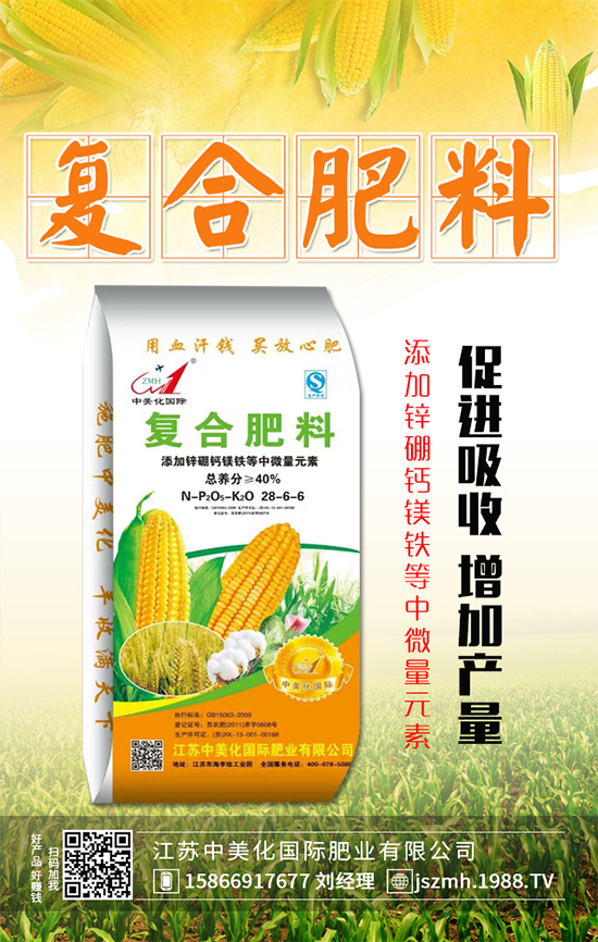 茄子什么時(shí)間育苗？茄子育苗的栽培管理要點(diǎn)！