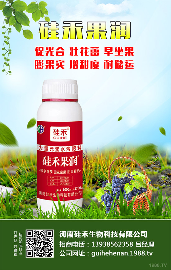 �������\�°l(f��)չ�����Ϲ�������ٴκ��s1988.TV��