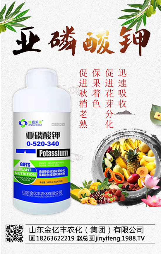 ��(zh��n)�Ժ�����������ɽ�|���|�S�ٺ�1988.TV���A2020��