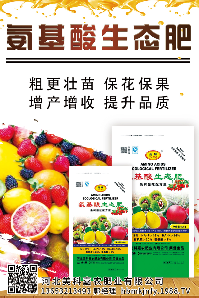 �ӱ����Ƽ��r(n��ng)�ʘI(y��)���޹�˾