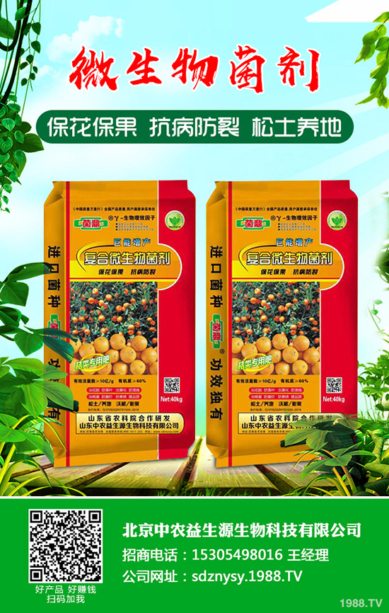 磷肥市場整體平緩!最新一銨二銨價(jià)格分析2020年4月10日!