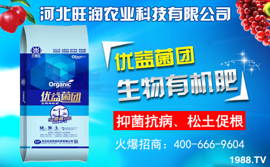 �ӱ������r(n��ng)�I(y��)�m(x��)�s1988.TV�����\�����°l(f��)չ��