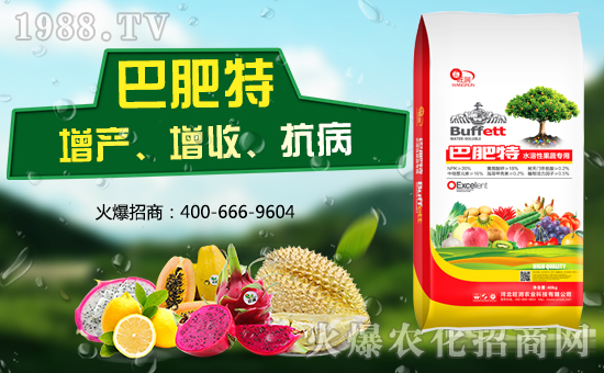 �ӱ������r(n��ng)�I(y��)�m(x��)�s1988.TV�����\�����°l(f��)չ��