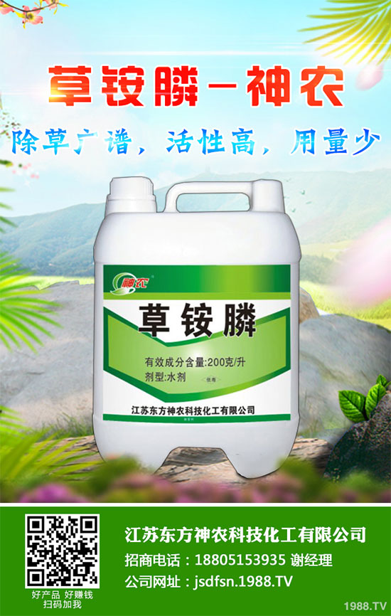 蒲公英種植如何實(shí)現(xiàn)高產(chǎn)？種植蒲公英效益如何呢？
