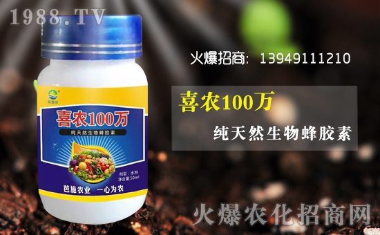 ��(zh��n)�Ժ���������(j��)�����ϰ�ʩ�G�r(n��ng)�I(y��)�y��1988.TV�ل�(chu��ng)�x����