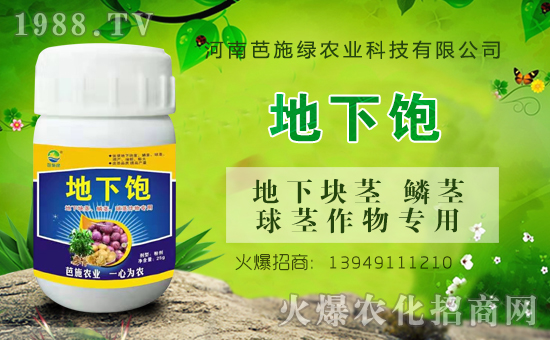 ��(zh��n)�Ժ���������(j��)�����ϰ�ʩ�G�r(n��ng)�I(y��)�y��1988.TV�ل�(chu��ng)�x����