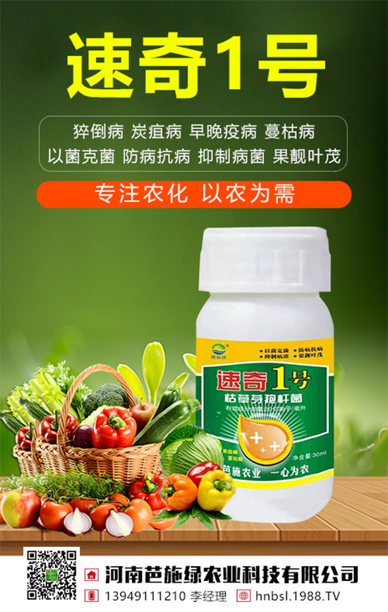 ��(zh��n)�Ժ���������(j��)�����ϰ�ʩ�G�r(n��ng)�I(y��)�y��1988.TV�ل�(chu��ng)�x����