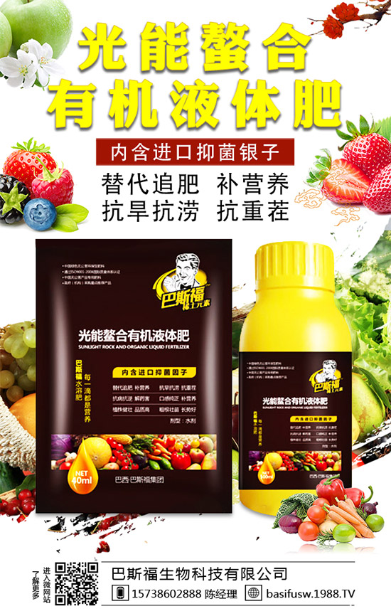 ��˹�������m(x��)�s1988.TV��������I(y��)���x�ͣ�