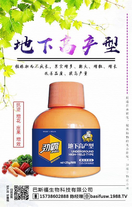 ��˹�������m(x��)�s1988.TV��������I(y��)���x����