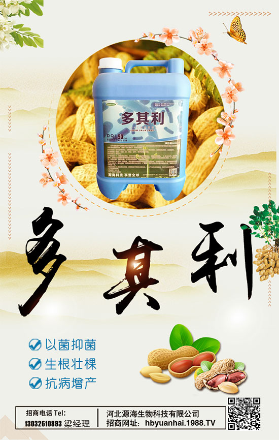 洋蔥什么時(shí)間種植好？洋蔥種植想高產(chǎn)怎么種植？