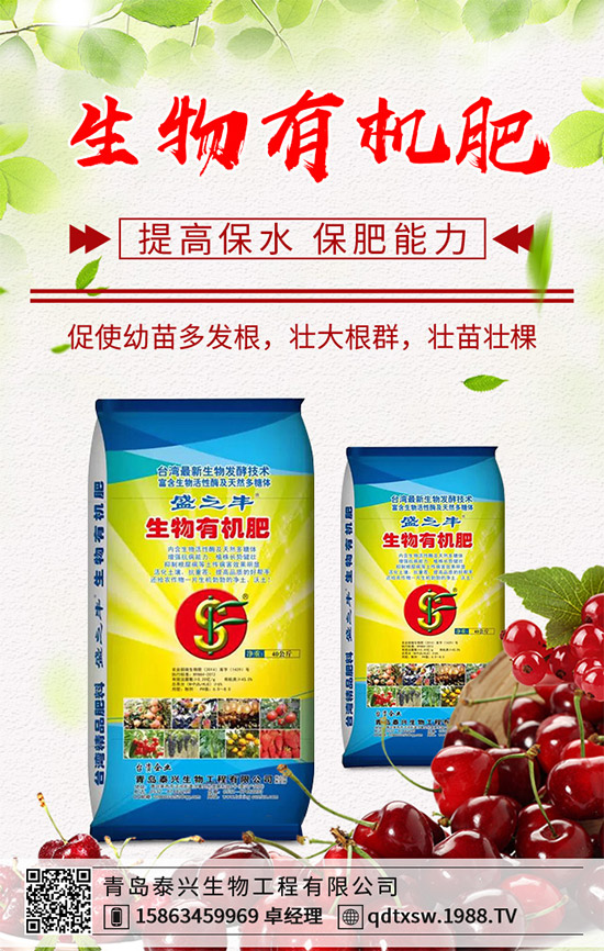 生姜該如何播種育苗？生姜高產(chǎn)栽培技術(shù)要點(diǎn)