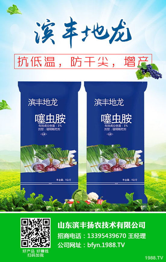     當(dāng)前小麥主要病蟲害發(fā)生情況！小麥一噴多防治什么??？防治技術(shù)及注意事項(xiàng)！