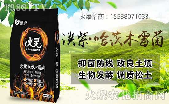 ���˸��r�I(y��)�ٺ����r���W�����󌍬F�v�w����