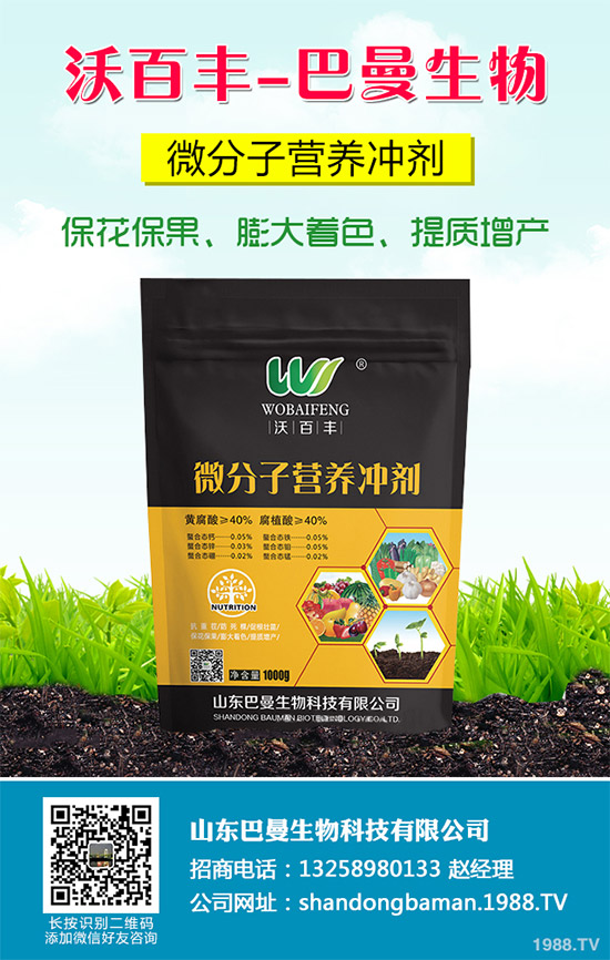 春花生播種的常見誤區(qū),不少農(nóng)戶犯過錯(附解決方案)