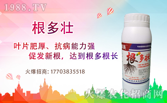 1988.TVϲӭ�������������³��_(k��i)���W(w��ng)�j(lu��)������������