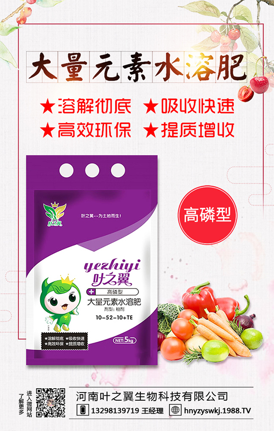 �������L��������Щ�����ɵ����g����Ҫ�c��