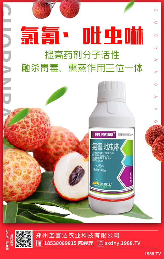 ���~���x���r(ji��)��