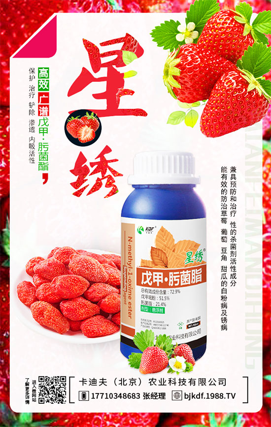 豆角要不要打尖？豆角如何正確整枝打尖呢？