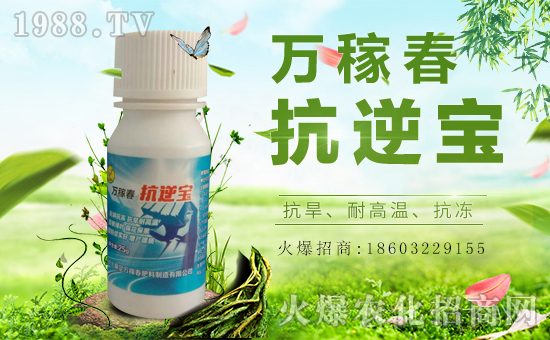 �������f�ڴ��������v���r(n��ng)�����̾W(w��ng)�����F(xi��n)��I(y��)�°l(f��)չ��