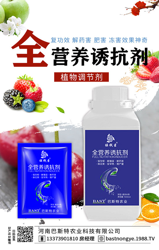 結(jié)球甘藍(lán)怎么施肥，結(jié)球甘藍(lán)的施肥技術(shù)！