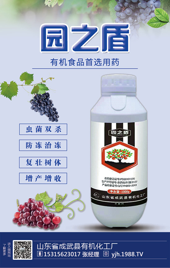 甘蔗需肥特性，甘蔗施肥技術和要點！