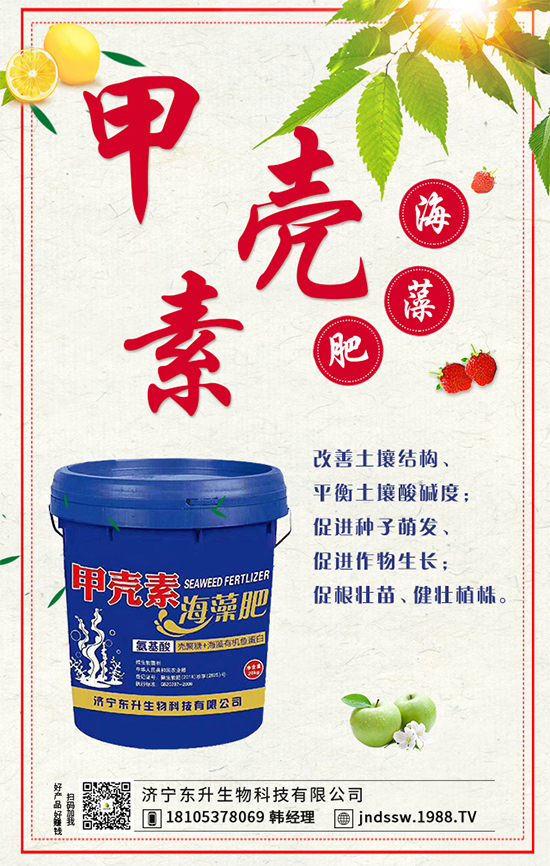 茴香什么時(shí)間種植好?茴香的高產(chǎn)種植技術(shù)!