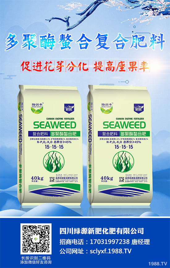 向日葵什么時候播種？該如何管理？高產向日葵高產種植管理技術