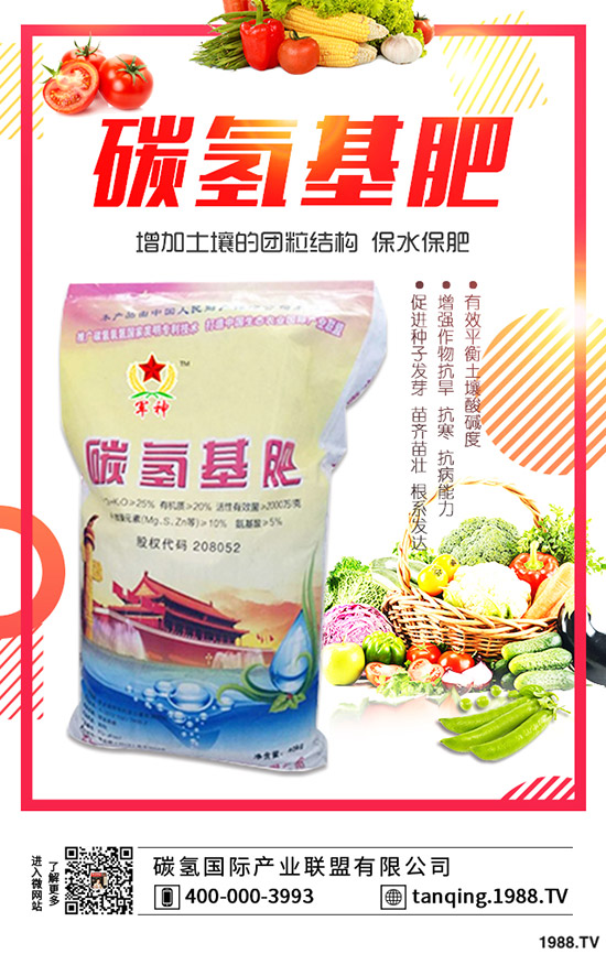 茶花盆景如何施肥，茶花盆景的施肥技巧有哪些