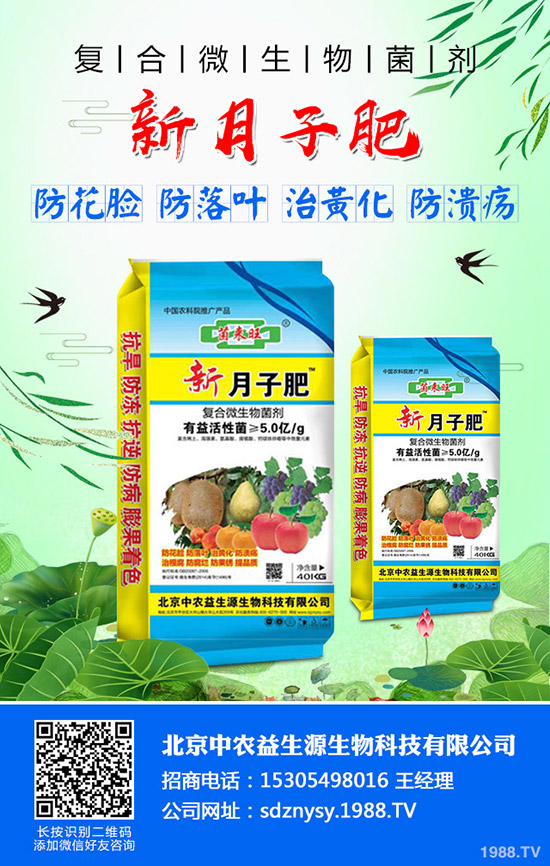     小麥旗葉是什么？小麥旗葉的作用有哪些？小麥旗葉決定產(chǎn)量么？