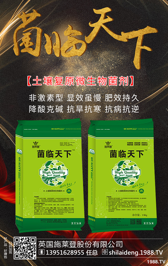 英國施萊登股份有限公司