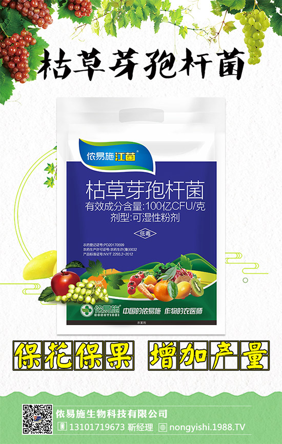 �������x���������z��ʩ�ٺ�1988.TV�����󌍬F(xi��n)�v�w����