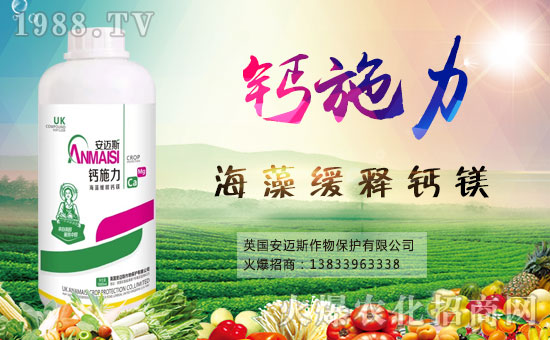 ���~˹���ﺞ�s���r(n��ng)���W(w��ng)�����_(k��i)�W(w��ng)�j(lu��)������������