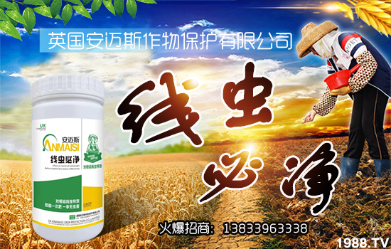 ���~˹���ﺞ�s���r(n��ng)���W(w��ng)�����_(k��i)�W(w��ng)�j(lu��)������������