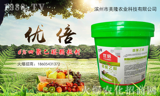 ��¡�r(n��ng)�I(y��)�m(x��)�s1988.TV���y�ֹ���(chu��ng)���x����