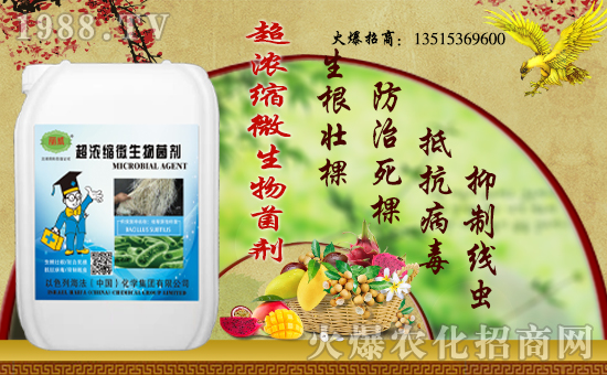 �����������������A����ɫ�к����ٺ�1988.TV�ل�(chu��ng)���x�ͣ�