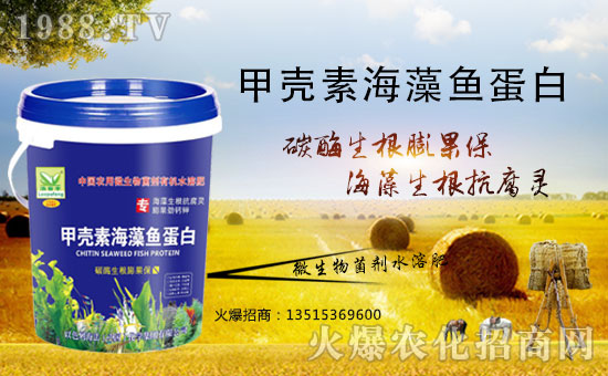 �����������������A����ɫ�к����ٺ�1988.TV�ل�(chu��ng)���x����