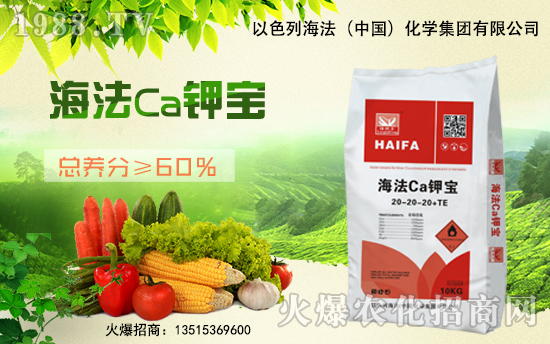 �����������������A����ɫ�к����ٺ�1988.TV�ل�(chu��ng)���x����