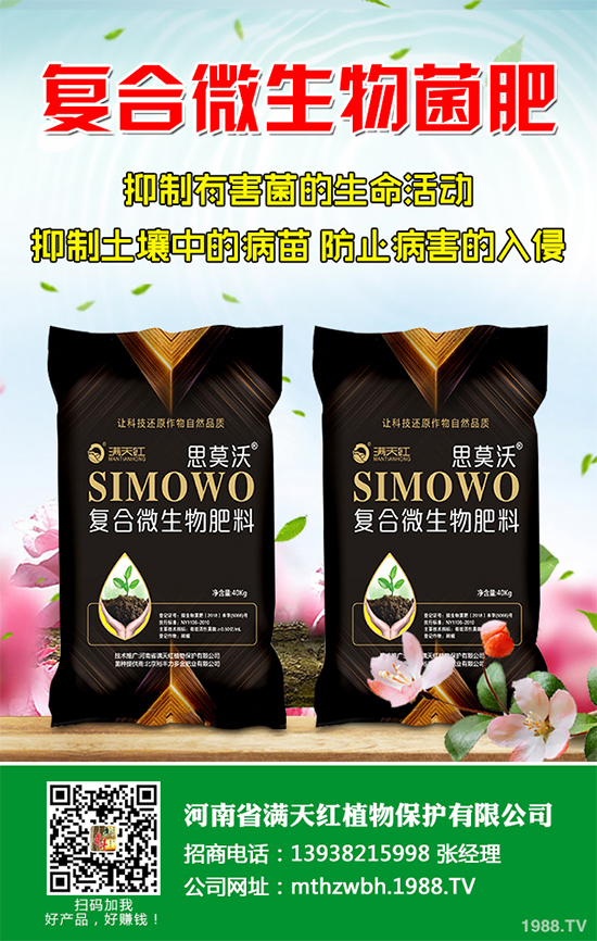 山楂種植需要怎樣的環(huán)境？山楂種植的環(huán)境要求及豐產(chǎn)栽培策略