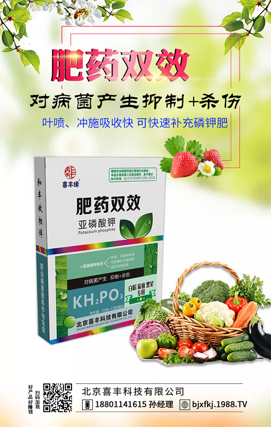 �������x���^�m(x��)�����r���W(w��ng)��ӭϲ�S�Ƽ����v��