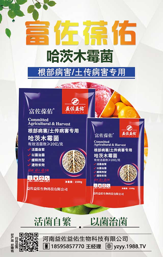 芋頭都有什么營(yíng)養(yǎng)價(jià)值?吃芋頭有什么好處?