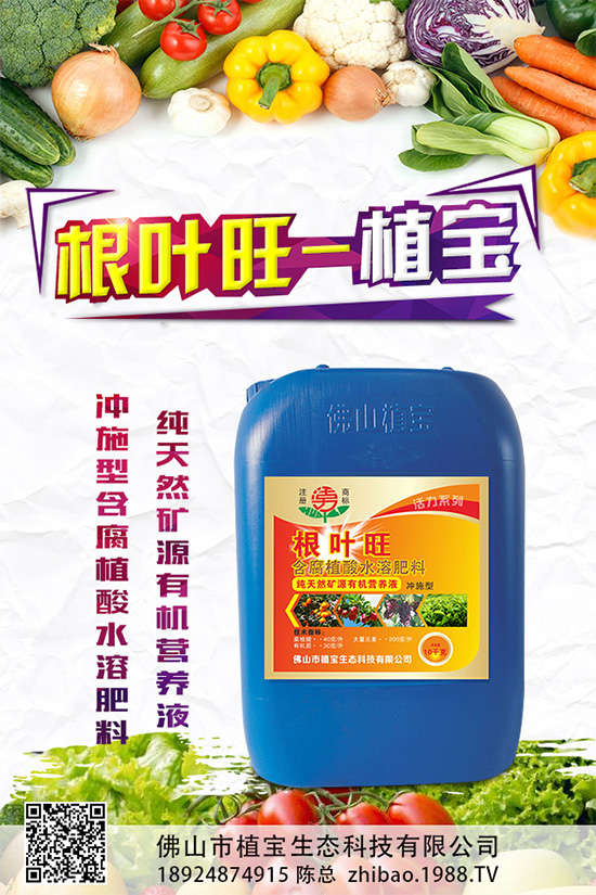 春胡蘿卜抽薹是什么原因？該如何預防？春胡蘿卜抽薹的原因分析及預防措施