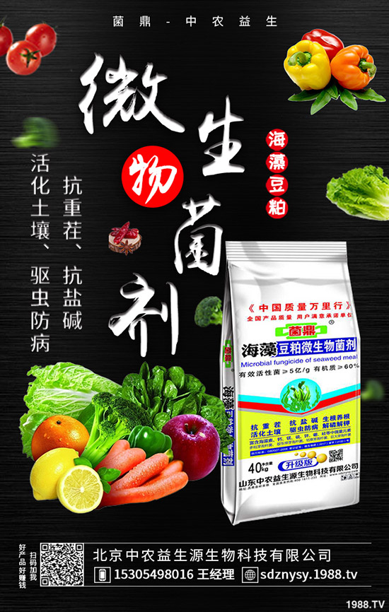 二銨市場整體表現(xiàn)平靜!2020-5-12最新磷酸二銨價格行情分析!