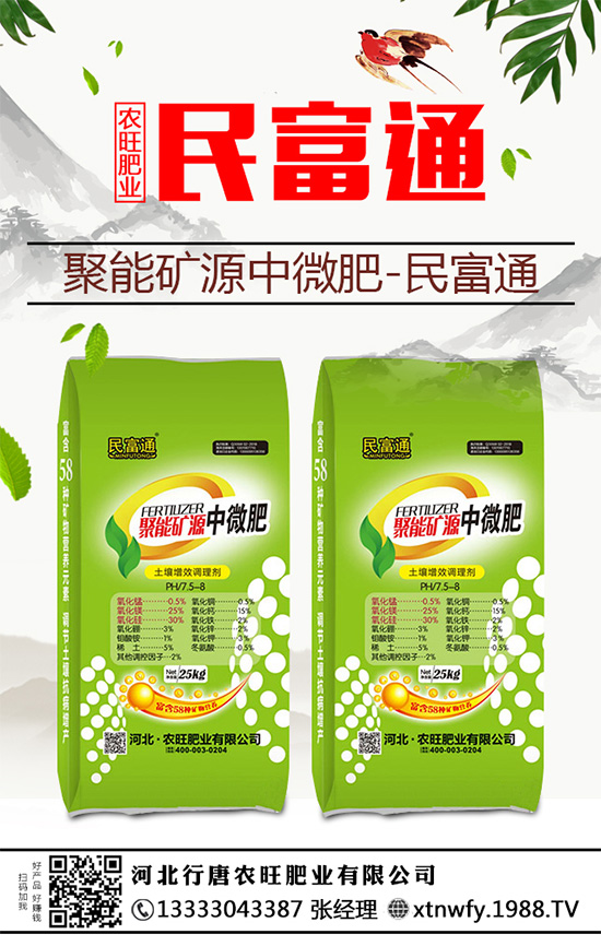 生姜重茬種植危害大，到底是如何引起的？該與哪些作物輪作呢？