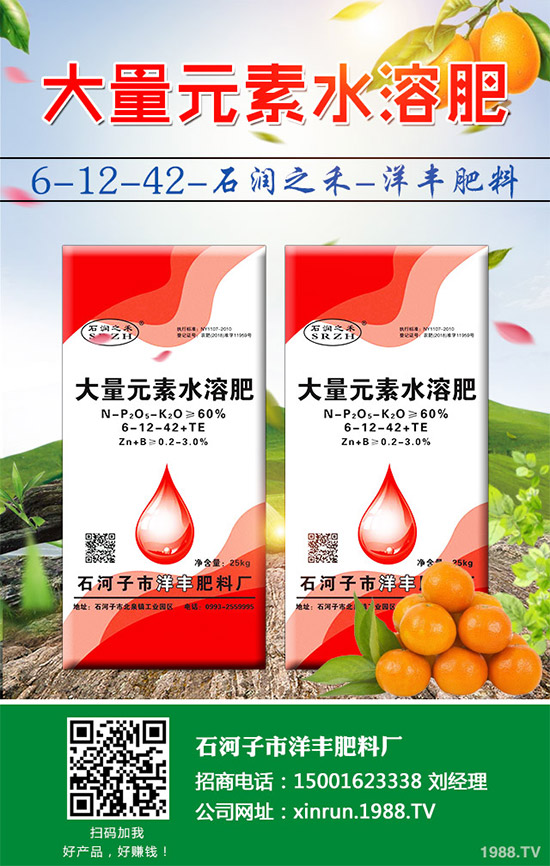 黃瓜嫁接好在哪里？有何優(yōu)勢(shì)？黃瓜嫁接的流程及注意事項(xiàng)