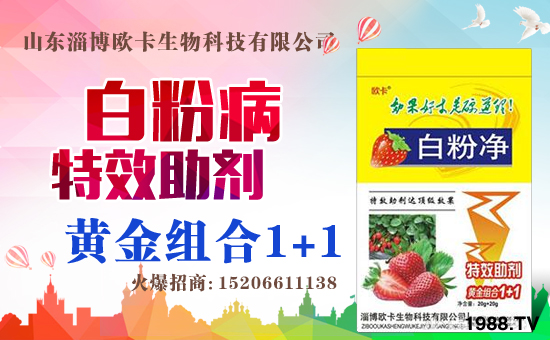 �����Pϵ�����A��ɽ�|�Ͳ��W�������m(x��)�s1988.TV�����\�����°l(f��)չ��