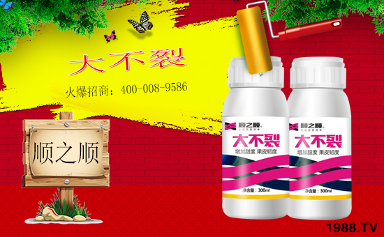 ���r���Wϲӭ�����ѣ������֮혻𱬁��u�����v�ɹ���