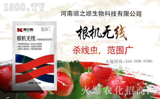 ���r���Wϲӭ�������������֮혻𱬁��u�����v�ɹ���