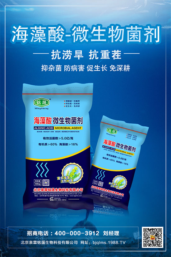     板栗只開花不結(jié)果是什么原因？板栗不掛果的解決措施！